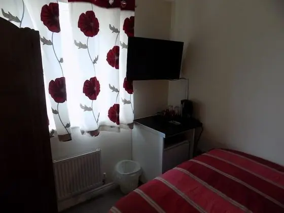 Basic Tek Büyük Yataklı Oda, Ortak Banyo (2)