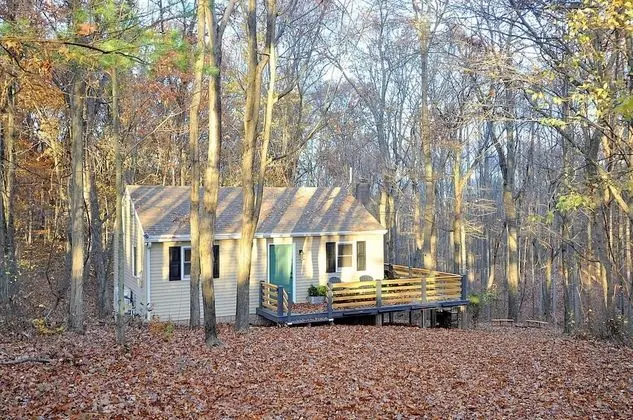 Kulübe, 2 Büyük (Queen) Boy Yatak (A Humble Abode Cabin - A Modern Woods)