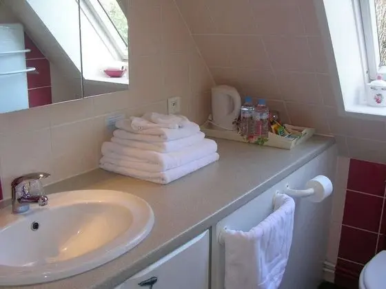 Tek Büyük veya İki Ayrı Yataklı Oda, Banyolu/Duşlu, Bahçe Manzaralı (2. Chambre Rose)