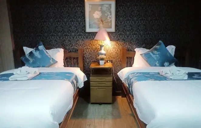 Deluxe İki Ayrı Yataklı Oda