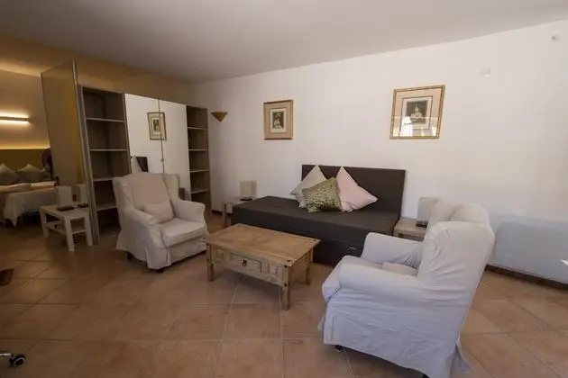 Panoramic Süit, 1 Yatak Odası, Küçük Mutfak, Şehir Manzaralı (Suite Molière)