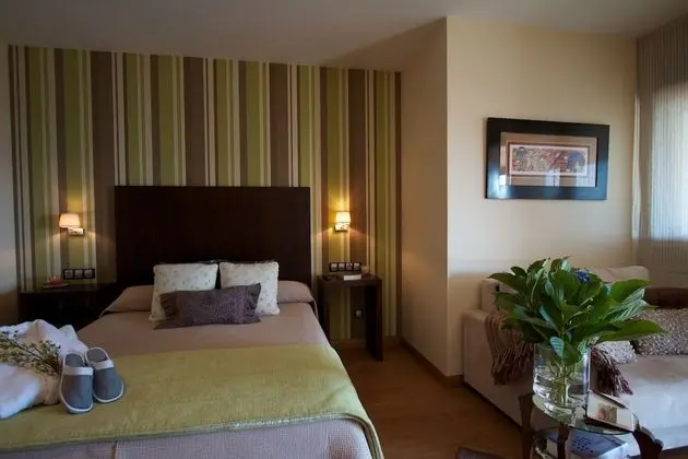 Superior Tek Büyük Yataklı Oda