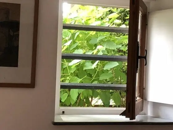 Tek Büyük veya İki Ayrı Yataklı Oda, Bahçe Manzaralı