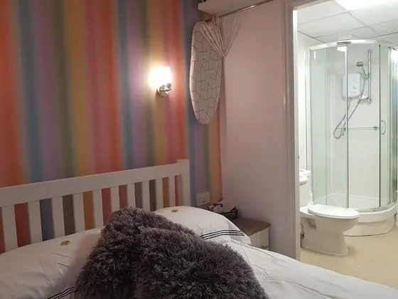 Standard Tek Büyük Yataklı Oda, Özel Banyo
