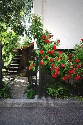 Stüdyo (Basement)