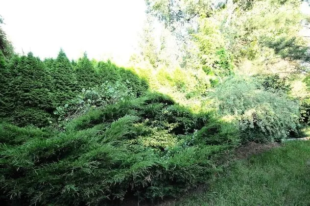 Apart Daire (with garden)