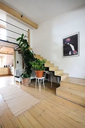 Çatı Katı (Loft)