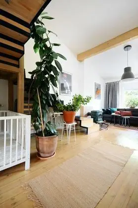 Çatı Katı (Loft)