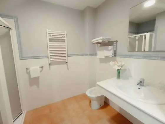 Standard Tek Büyük Yataklı Oda, Engellilere Uygun, Özel Banyo