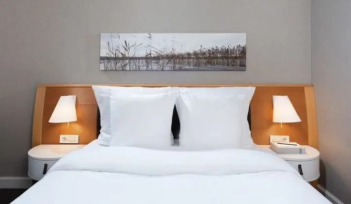 Superior Tek Büyük Yataklı Oda