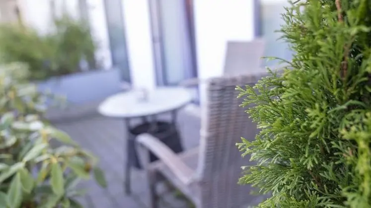 Tek Büyük Yataklı Oda, Teras