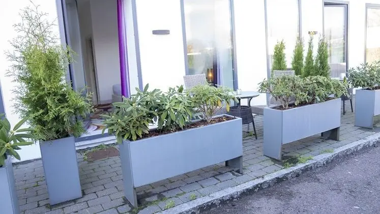 Tek Büyük Yataklı Oda, Teras