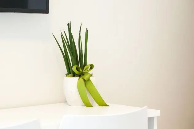Comfort Tek Büyük Yataklı Oda, 1 Çift Kişilik Yatak, Özel Banyo