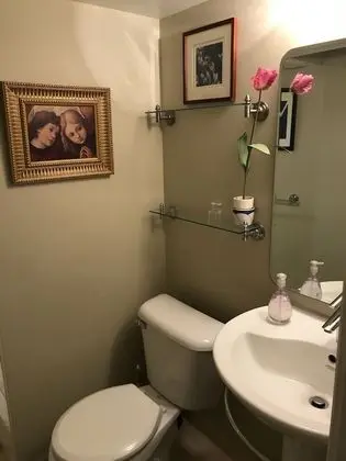 Basic Tek Büyük Yataklı Oda, Banyolu/Duşlu (Retreat - Basement Level)