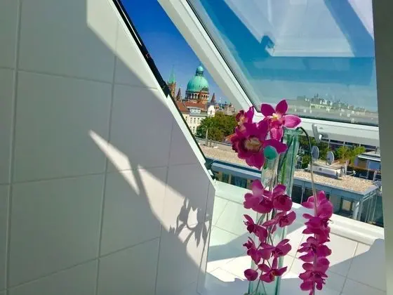 Ortak Ranzalı Oda, Karma Ranzalı Oda (1 Single Bed in 4-Bed Dormitory)