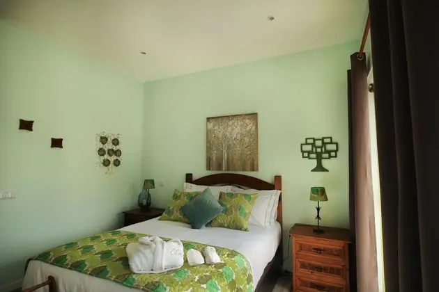 Deluxe Tek Büyük Yataklı Oda, Bahçe Manzaralı (Tree)