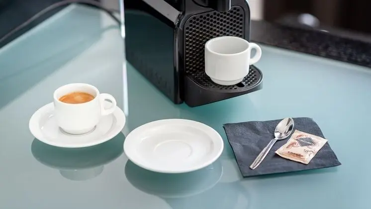 Deluxe Oda, 1 En Büyük (King) Boy Yatak