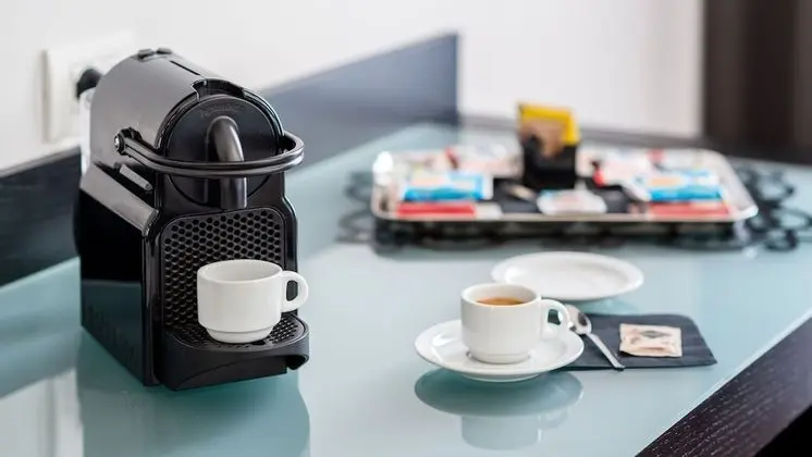 Deluxe Oda, 1 En Büyük (King) Boy Yatak