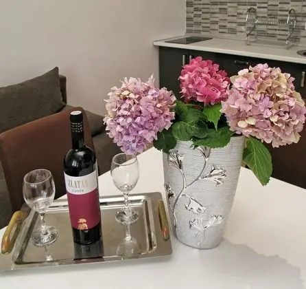 Apart Daire, 1 Büyük (Queen) Boy Yatak ve Çekyat