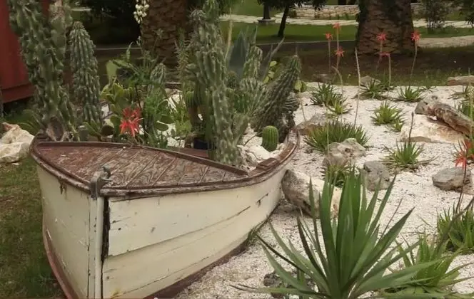 Apart Daire, 1 Büyük (Queen) Boy Yatak ve Çekyat