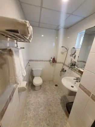 Premium Üç Kişilik Oda, Sigara İçilmez, Şehir Manzaralı