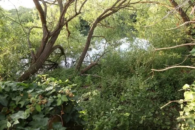 Oda, 1 Yatak Odası