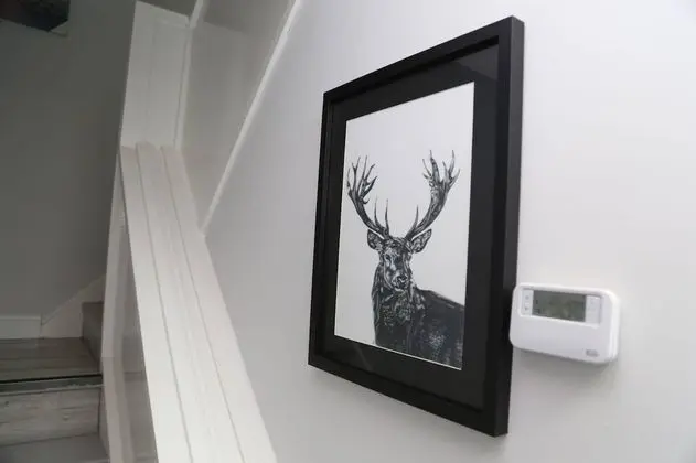 Oda, 1 Yatak Odası, Buzdolabı