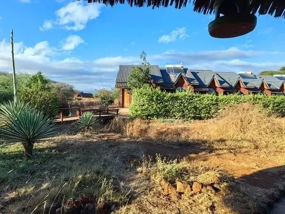 Oda