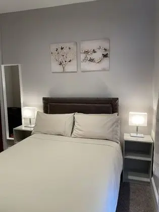 Tek Büyük Yataklı Oda, 1 Çift Kişilik Yatak, Banyolu/Duşlu (1)