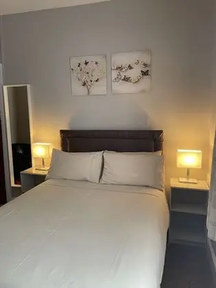 Tek Büyük Yataklı Oda, 1 Çift Kişilik Yatak, Banyolu/Duşlu (1)