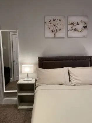 Tek Büyük Yataklı Oda, 1 Çift Kişilik Yatak, Banyolu/Duşlu (1)