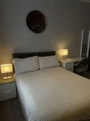Tek Büyük Yataklı Oda, 1 Çift Kişilik Yatak, Banyolu/Duşlu (1)