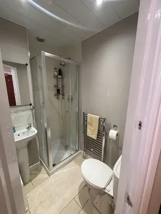 Tek Büyük Yataklı Oda, 1 Çift Kişilik Yatak, Banyolu/Duşlu (1)