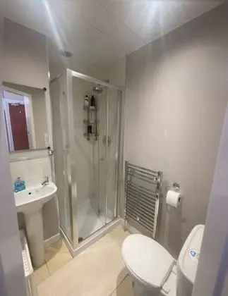 Tek Büyük Yataklı Oda, 1 Çift Kişilik Yatak, Banyolu/Duşlu (1)