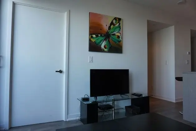 Televizyon