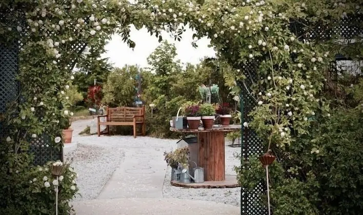 Design Tek Büyük veya İki Ayrı Yataklı Oda, Özel Banyo, Avlu Manzaralı (Zemara)