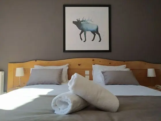 Superior Tek Büyük Yataklı Oda