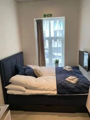 Tek Büyük Yataklı Oda (Sofa Bed, 101)