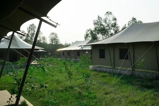 Luxury Çadır