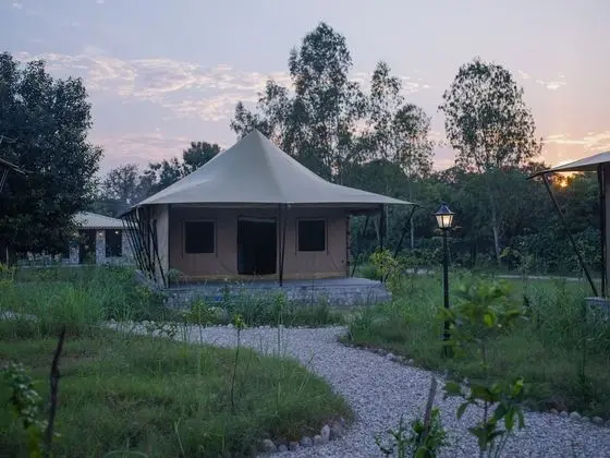 Luxury Çadır