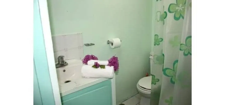 Apart Daire, 2 Yatak Odası, Balkon