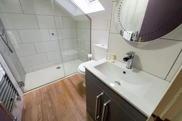 Deluxe Tek Büyük Yataklı Oda, Küçük Mutfak