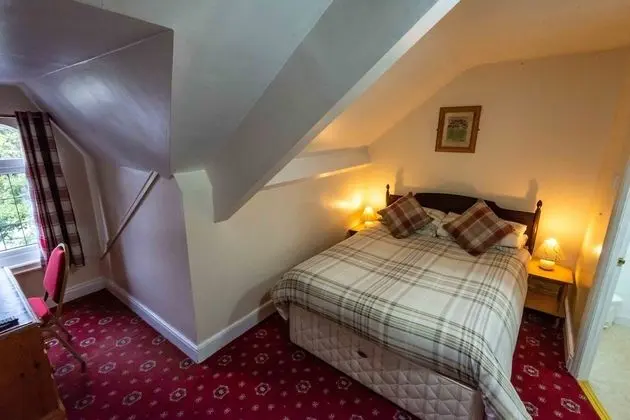 Superior Tek Büyük Yataklı Oda