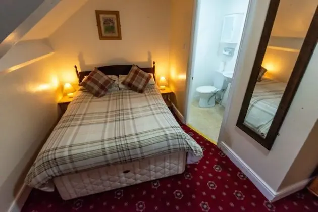 Superior Tek Büyük Yataklı Oda