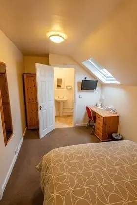 Superior Tek Büyük Yataklı Oda