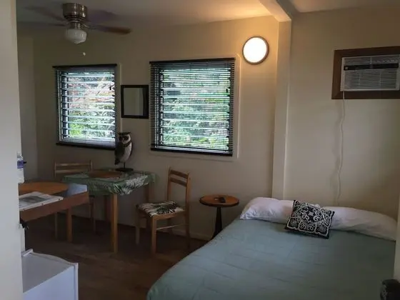 Standard Tek Kişilik Oda, Özel Banyo, Bahçe Manzaralı (#10)