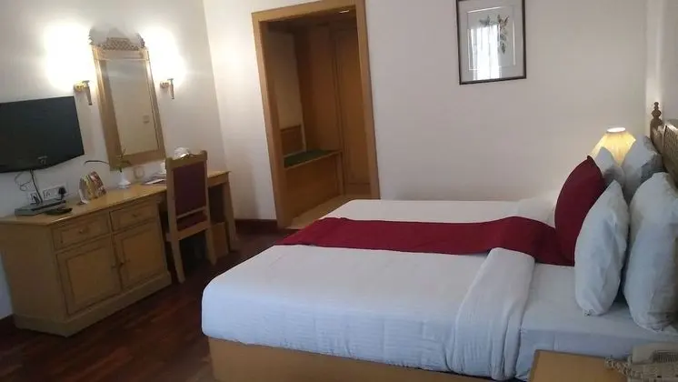 Superior Tek Büyük Yataklı Oda, 1 En Büyük (King) Boy Yatak