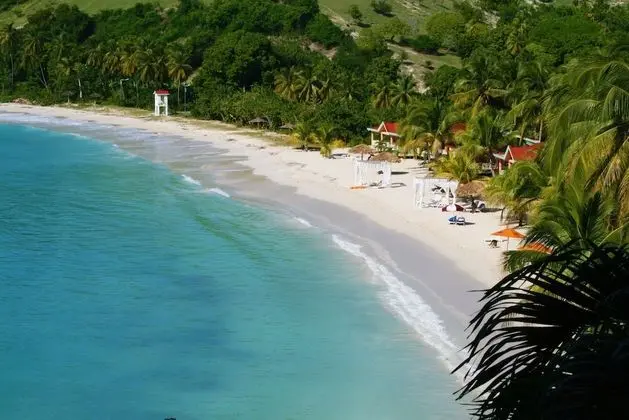Deluxe Ocean View