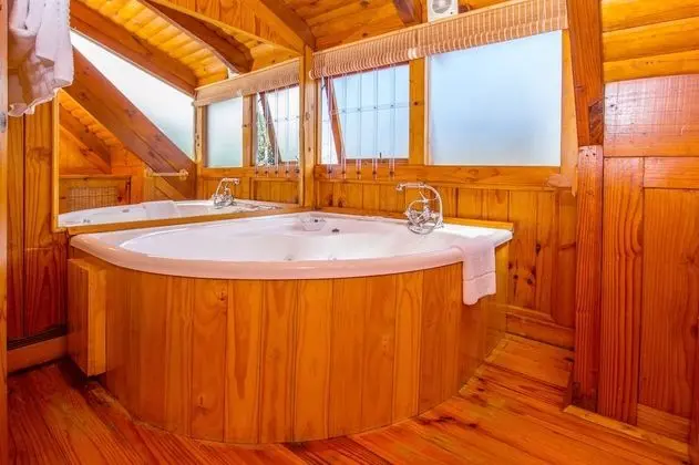 Tek Büyük veya İki Ayrı Yataklı Oda (Semi-Detached Log Cabin - Spa Bath)