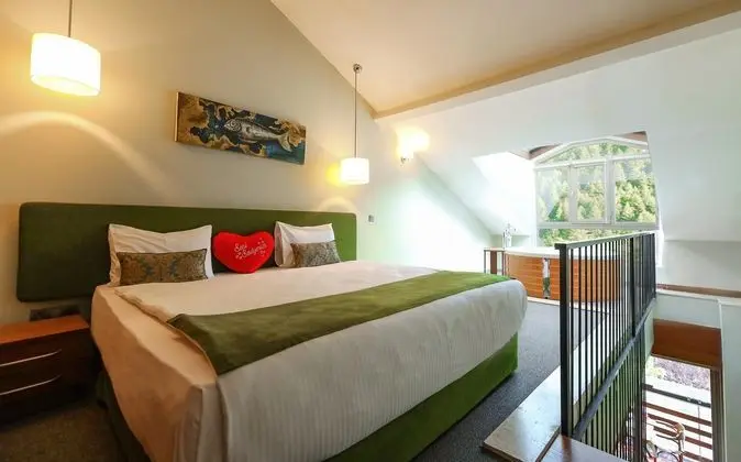 https://images.etstur.com/files/images/hotelImages/TR/50130/l/Abant-Aden-Boutique-Hotel---Spa-Oda-317425.jpg